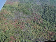 1348004