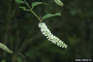 1380473