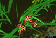 1391046