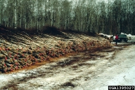 1395027