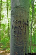 1397034