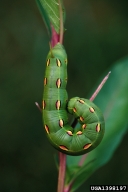 1398197