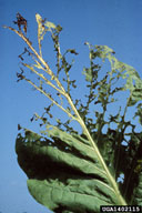 1402115