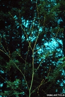 1407016