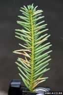 1415188