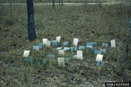 1420040