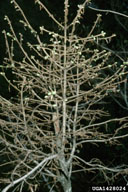 1428024