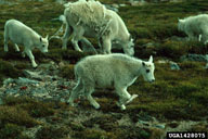 1428075
