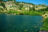 1459414