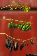 1459840