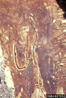 1467053
