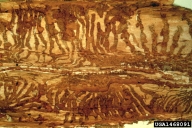 1468091