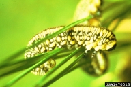 1470015