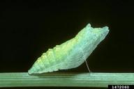 1472060