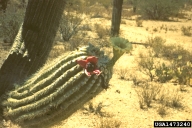 1473240
