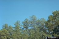 1501063