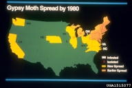 1515077