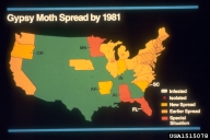 1515078