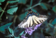 1523105
