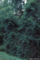 1539040