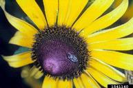 1541140