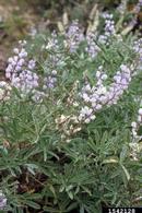 1542128
