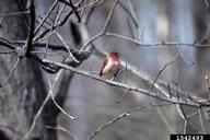 1542493