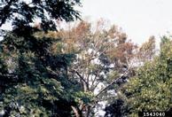 1543040