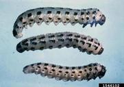 1546102