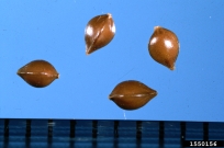 1550156