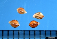 1550170