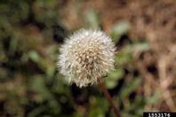 1553176