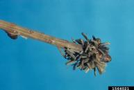 1564021