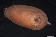 1572902