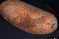1572920