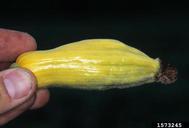 1573245