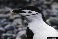 1586628