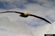 1586673