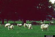 1588045