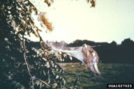 1627025