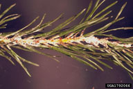 1792066