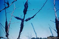 1949017