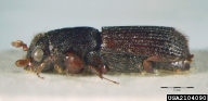 2104090