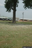2120078