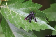 2200073