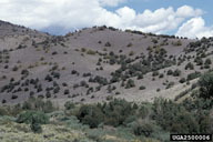 2500006