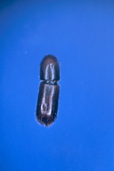 2515008