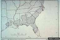 2716005