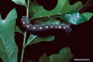 3226061