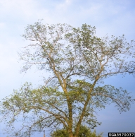 3570037